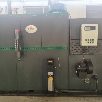 鼎炬生物质蒸汽发生器洗涤熨烫用1吨生物质蒸汽发生器