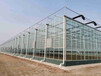 书珊农业-温室大棚的透光性能要求