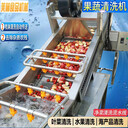 商用果蔬氣泡清洗機(jī)根莖類(lèi)蔬菜去泥洗菜機(jī)海參小龍蝦清洗流水線