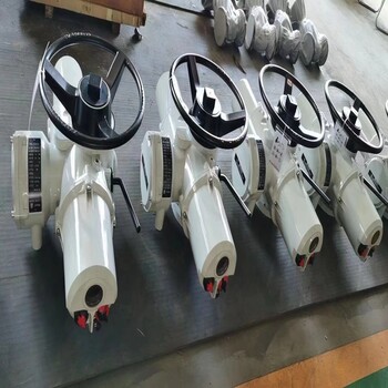 JDFKZ20-24Z智能型驅(qū)動器，調(diào)節(jié)型閥門電動裝置