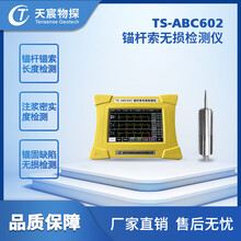 TS-ABC602锚杆索无损检测仪
