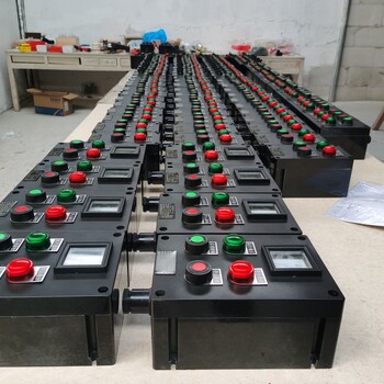 BZC-A2B1K1防爆控制按鈕箱/鋁合金10A防爆操作柱遼飛防爆