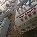 遼飛防爆BXD61防爆動(dòng)力配電箱/鋁合金防爆動(dòng)力開(kāi)關(guān)箱定做