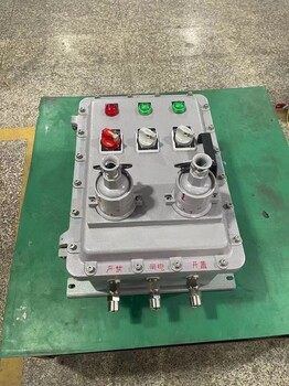 LNZ-A2D2K1G防水防塵防腐操作柱遼飛防爆