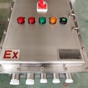 遼飛防爆LBZ-B2ALXB2-防水防腐操作柱