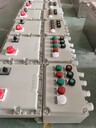 BZC-A2B1D2K2G防爆操作柱帶鎖停按鈕防爆操作柱BZC8030-A2B1D2掛式防爆防腐操作柱遼飛防爆