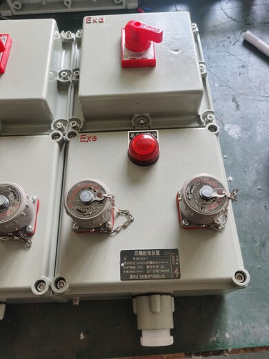 制药厂房BXM51防爆电源照明箱IP65/ExdeIIBT6防爆检修插座箱