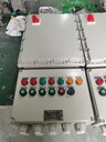 碳鋼焊接RAL7035防爆配電裝置