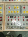 BXK-T防爆現(xiàn)場操作箱/非標(biāo)定做防爆控制箱
