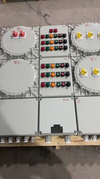 BXM防爆照明配電箱/12回路防爆動(dòng)力配電箱遼飛防爆