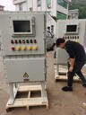 BXK-T防爆溫控電表箱/防爆儀表控制箱