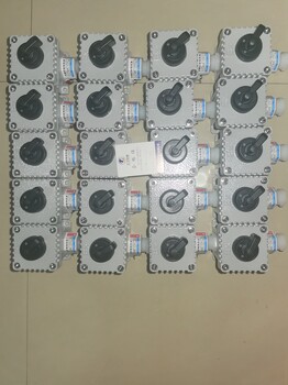FZC-S防水防塵防腐操作箱/三防壁掛式操作箱遼飛防爆