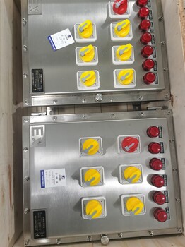 BXD52-T6防爆照明配電箱/鋁殼防爆照明配電箱遼飛防爆