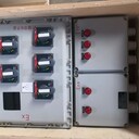 BXM(D)8回路防爆照明配電箱非標(biāo)定做遼飛防爆