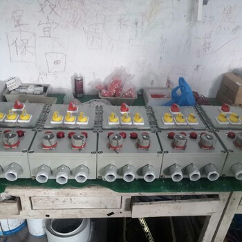 304不銹鋼RAL7035IIB級防爆操作箱