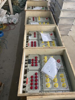 BXM防爆鋼板焊接配電箱/碳鋼材質(zhì)防爆照明配電箱遼飛防爆