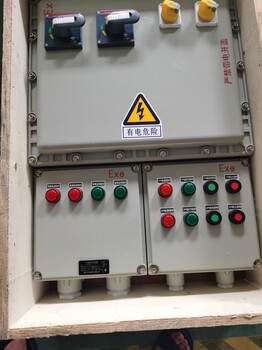 BXK防爆電氣控制箱遼飛防爆