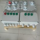 BXD防爆動(dòng)力配電柜接線圖遼飛防爆