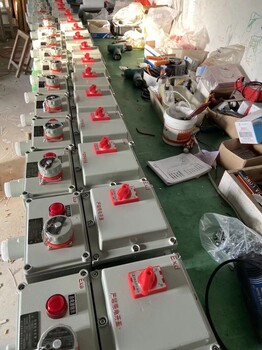 BXD52-T6防爆照明配電箱/鋁殼防爆照明配電箱遼飛防爆