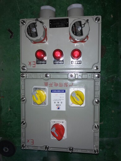 BXMD隔爆型防爆电控柜可定制BXX51防爆检修箱