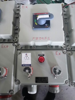 BXQ戶外防爆照明動力配電箱遼飛防爆