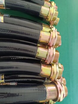 BNG700G1/2防爆撓性管