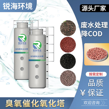 臭氧催化氧化塔去除COD-提高可生化臭氧反應器材質(zhì)可定制