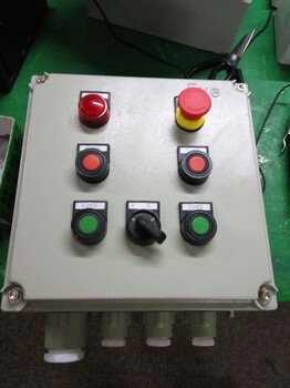 IIC級(jí)非標(biāo)防爆配電箱