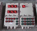 BXD51-T2K带总开关防爆动力配电箱