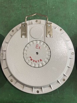 BXD51-7防爆動力配電箱
