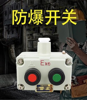 除塵車間防爆配電箱/鋼板焊接防爆配電箱