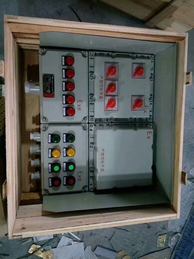 BXD51防爆动力配电箱(带漏电保护)