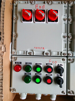 BXD51-12/10K25電動閥防爆配電箱