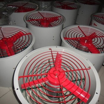 BT35-11防爆軸流風(fēng)機(jī)