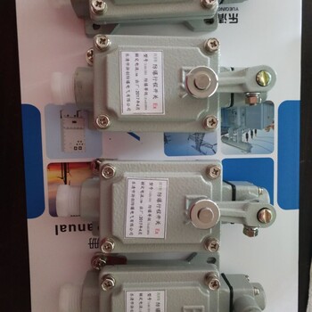 BXMD52-T6-雙電源防爆配電箱