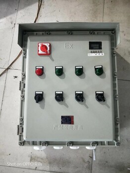 BXX51-3/50K100防爆檢修配電箱
