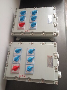 BXX51-3/50K100防爆檢修配電箱