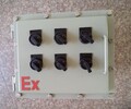 BXD51-4/30防爆动力配电箱控制电机启停开关箱厂家
