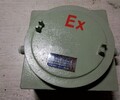 电动机防爆开关配电箱BXD51-8防爆照明动力配电箱厂家
