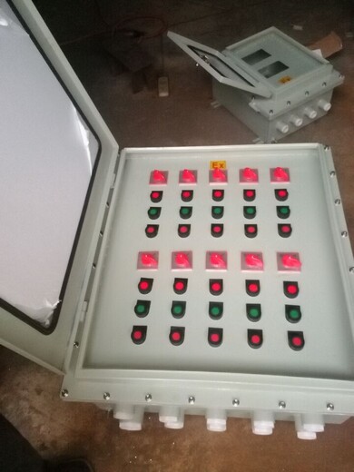 三防配电箱不锈钢防爆箱定做BXMD成套防爆配电箱8回路防爆照明配电箱