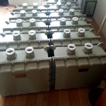 BXD51-6K防爆動(dòng)力配電箱水泵控制防爆配電箱價(jià)格