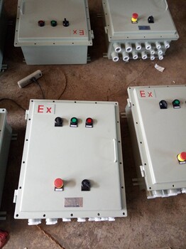 双电源自动切换控制箱BXD51-8防爆照明动力配电箱厂家定制