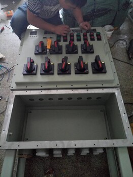 控制5電機防爆配電箱BXD51-6K防爆動力配電箱廠家