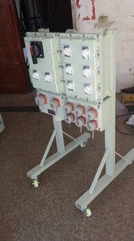 防爆磁力配電箱工業(yè)防爆監(jiān)控顯示器價(jià)格