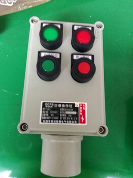 防水防爆配電箱電動(dòng)機(jī)防爆開(kāi)關(guān)配電箱國(guó)標(biāo)不銹鋼防爆配電箱工業(yè)防爆監(jiān)控顯示器