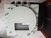 FXD-S防水防尘防腐配电箱不锈钢防爆箱定做在线沟通