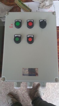 双电源自动切换控制箱BXD51-8防爆照明动力配电箱厂家定制