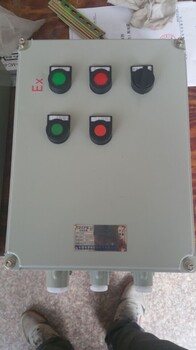 雙電源自動切換控制箱BXD51-8防爆照明動力配電箱廠家定制