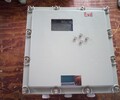 防爆电源配电箱BXD51-8防爆照明动力配电箱在线沟通