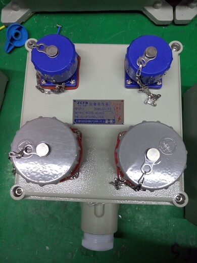 防爆动力配电箱BXD51-4/30防爆动力配电箱定制生产厂家